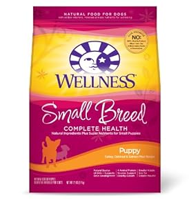 Wellness Small Breed Complete Health Puppy Recipe, 12-Pound Bag