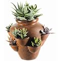 Faux Cactus Garden in Terra Cotta Pot - Green (12")