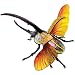 3D Anatomic HERCULES BEETLE Cut-a-way Anatomy Model Puzzle