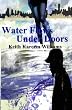 Water Flows Under Doors