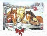 Horse Boxed Christmas Cards