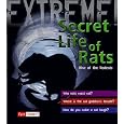Secret Life Of Rats: Rise Of The Rodents (fact Finders: Extreme!) by