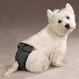 SMALL - BLACK - ClearQuest Female Pup Pants