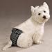 Kitchen & Housewares : MEDIUM - BLACK - ClearQuest Female Pup Pants