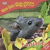 Cover of Mouse with Sticker by Angela Royston 0756637643