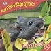 Mouse with Sticker (See How They Grow)