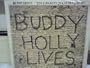 buddy holly lives 20 golden greats