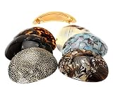 France Luxe Couture Oval Volume Barrette - Classic