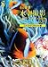 ���滣�ƥ�٥륢�å�Lesson���� ����ѥ��ȥǥ����륫����� [DVD]