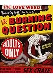 Burning Question, The 27 x 40 (approx.) Poster