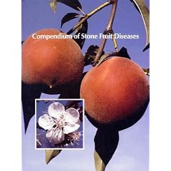 Compendium of Stone Fruit Diseases (Disease Compendium Series.) by American Phytopathological Society, Joseph M. Ogawa, E. I. Zehr and G. W. Bird