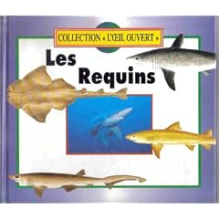 Les requins (L'oeil ouvert)