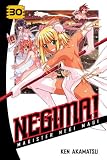 Negima! 30: Magister Negi Magi (Negima!: Magister Negi Magi)