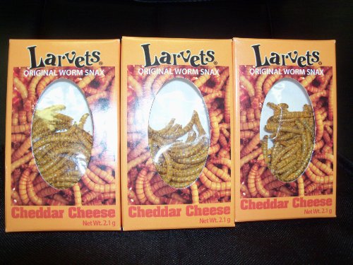 Larvets - Cheddar Cheese Flavored Worm Snacks (3 Pack)