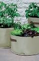 3 x Vegetable Patio Planters for grow your own produce