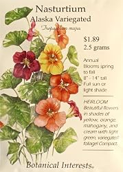 Alaska Variegated Nasturtium Heirloom Seeds 25 Seeds