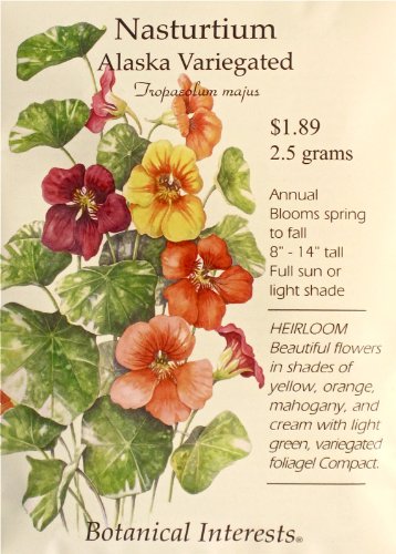 Alaska Variegated Nasturtium Heirloom Seeds 25 Seeds