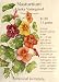Alaska Variegated Nasturtium Heirloom Seeds 25 Seeds