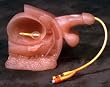 Male Model W/Bladder-A26104