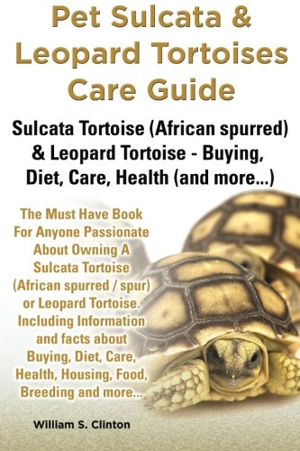 pet sulcata  leopard tortoises care guide sulcata tortoise african spurred  leopard tortoise buying diet