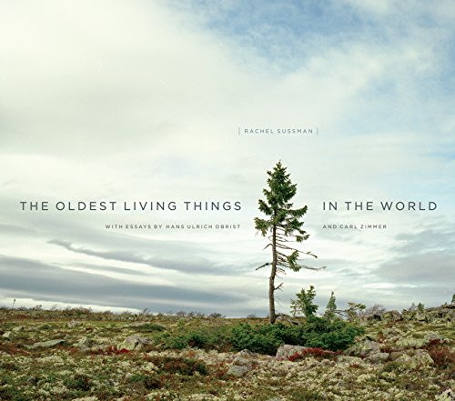 The Oldest Living Things in the World The Oldest Living Things in the World