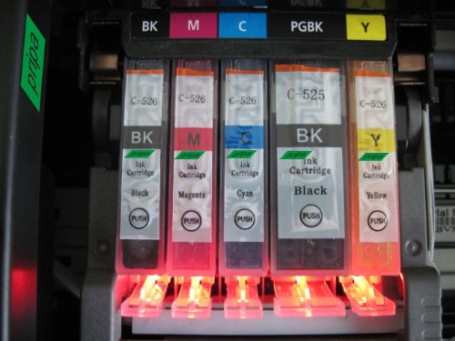 pripa 2 Satz = 10 kompatible – CHIP – Patronen – Black (groß + klein) Cyan Magenta Yellow – fuer Canon Pixma iP 4850 4950 Canon Pixma MG 5150 Canon MG 5250 5350 Canon Pixma iX 6550 Canon Pixma MX 885. Sofortiges Einsetzen der Patrone ohne Adapter & kein Chipumbau 100 % Füllstandsanzeige Reviews