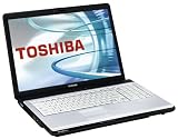 Toshiba Satellite Pro P200 (-00L009GR) 17,1 WXGA+ Notebook (Intel Core 2 Duo T7300 2,0 GHz, 2GB RAM, 300GB HDD, ATI Mobility Radeon HD2600, DVD+- DL RW)