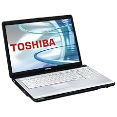 Toshiba Satellite Pro P200 (-00L009GR) 17,1 WXGA+ Notebook (Intel Core 2 Duo T7300 2,0 GHz, 2GB RAM, 300GB HDD, ATI Mobility Radeon HD2600, DVD+- DL RW)