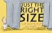 Just the Right Size: Why Big Animals Are Big and Little Animals ... by Nicola Davies