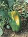 Cayenne Pepper Plant Growing in a Field (Capsicum Annuum) Photographic Poster Print by D. Dagli Orti, 24x32