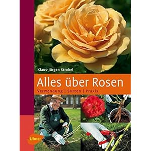 Alles über Rosen: Verwendung - Sorten - Praxis