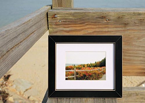 Along the Road- Fall Photography in Acadia National Park