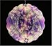Seedlings Wind Spinner