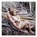 Castaway Color Box Canvas Print Gallery Wrapped - 12x12 Inches (Oliver Reed Amanda Donohoe) Image