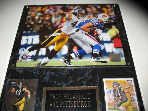 Pittsburgh Steelers Troy Polamalu 12