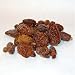 Frozen Morel Mushroom - 1 lb Bag