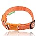 ILLUMISEEN LED Dog Collar USB Rechargeable - Bright & High Visibility Lighted Glow Collar for Pet Night Walking - Weatherproof, in 6 Colors & 6 Sizes (Orange Large)