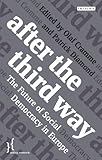After the third way : the future of social democracy in Europe