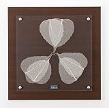 インテリアデコ LEAF(リーフ)0006 IN 0006