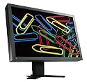 Eizo FlexScan S2001WE 20 Zoll widescreen TFT-Monitor DVI mit USB-Hub, Lautsprechern und EzUp Stand grau (Kontrast 1000:1, 5ms Reaktionszeit)