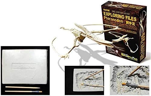 Dinosaur Dig Kit Pteranodon Fossil Excavation Kit