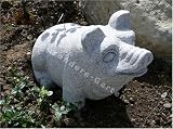 Eigenschaften DER BESONDERE GARTEN  / Schwein, Sau, Granitsau, Steintier