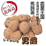 【ホクホク感満点】 北海道産 男爵 5kg箱