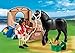 PLAYMOBIL Black Stallion with Stall Set