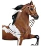 English Show Bridle�