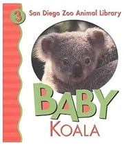 Baby Koala