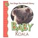 Baby Koala (San Diego Zoo Animal Library)