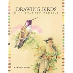 Drawing Birds with Colored Pencils