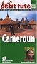 Le Petit Fut� Cameroun