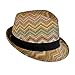 Bohemian Summer Straw Fedora Hat for Women, Cute Chevron Zig Zag Striped, One Size